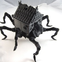 House Spider - Thumbnail 1