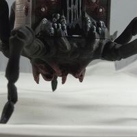 House Spider - Thumbnail 4