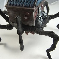 House Spider - Thumbnail 7