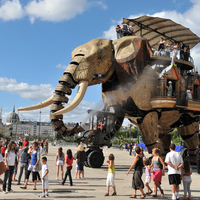 Elephant - Thumbnail 4