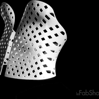  Full 3D printed Corset - Thumbnail 1