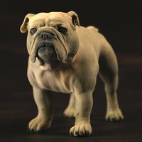 bulldog XXL size - Thumbnail 1