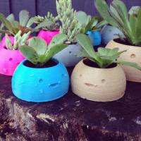 Happy Planters- Large - Thumbnail 1