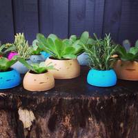 Happy Planters- Large - Thumbnail 2