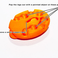 Turtle - Thumbnail 2