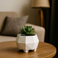 GEOMETRIC PLANTER POT – MODERN FACETED DESIGN - Thumbnail 8