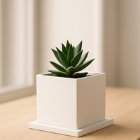 MINIMALIST SQUARE FLOWER POT WITH DRIP TRAY - Thumbnail 7
