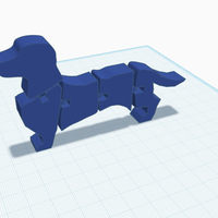 Flexi Wiener dog (Dachshund) - Thumbnail 4