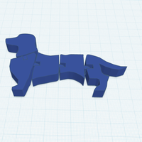 Flexi Wiener dog (Dachshund) - Thumbnail 9