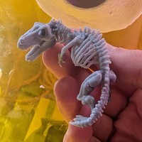 Dinosaur Skeleton (DND / TTRPG) - Thumbnail 1