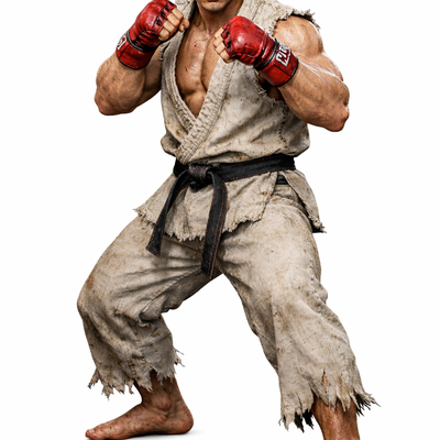 Realistic Martial Arts Fighter Character – Fighting Pose