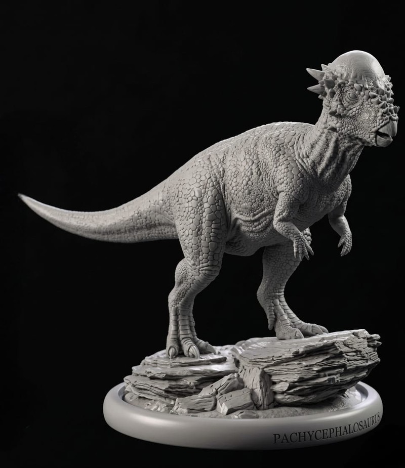 Pachycephalosaurus Statue（Dinosaur Sculpted Realistic Model）