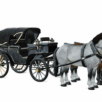 Victorian Horse Carriage with Dual Horses - Thumbnail 4