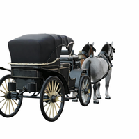 Victorian Horse Carriage with Dual Horses - Thumbnail 5