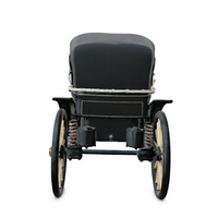 Victorian Horse Carriage with Dual Horses - Thumbnail 6
