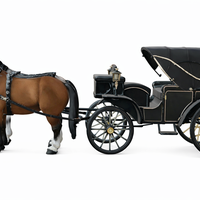 Victorian Horse Carriage with Dual Horses - Thumbnail 7
