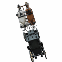 Victorian Horse Carriage with Dual Horses - Thumbnail 8