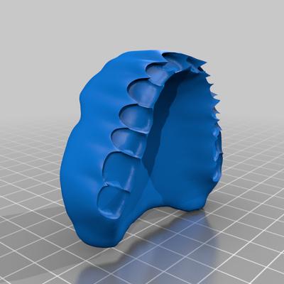 3D Rendering of a Complete Maxillary and Mandibular Denture Set