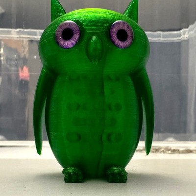 Cute Little Owl (A07) | SKOF 3D
