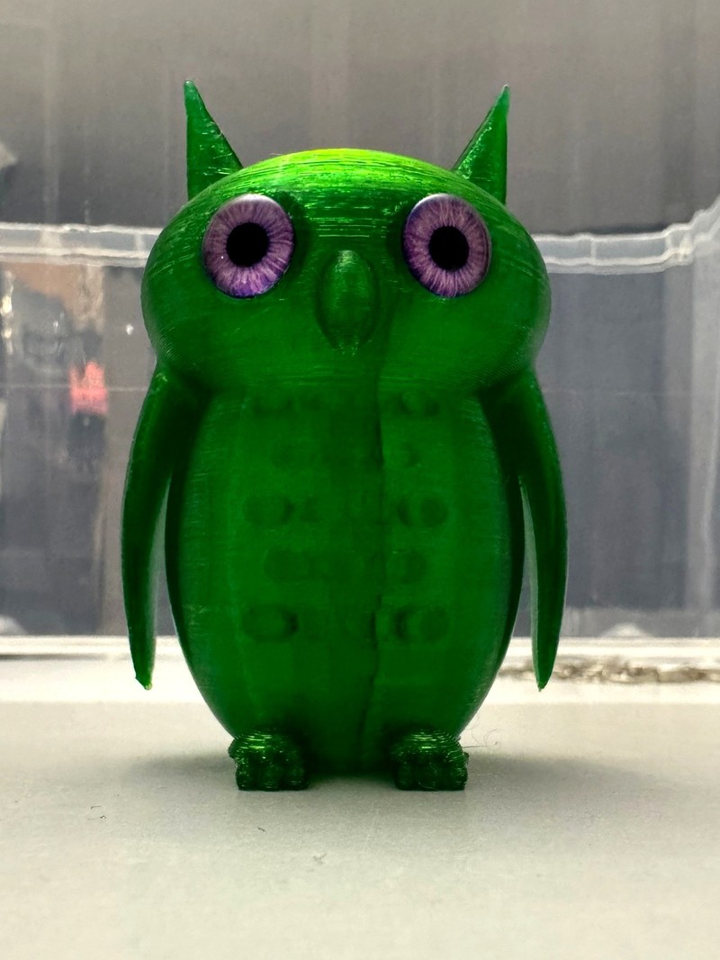 Cute Little Owl (A07) | SKOF 3D