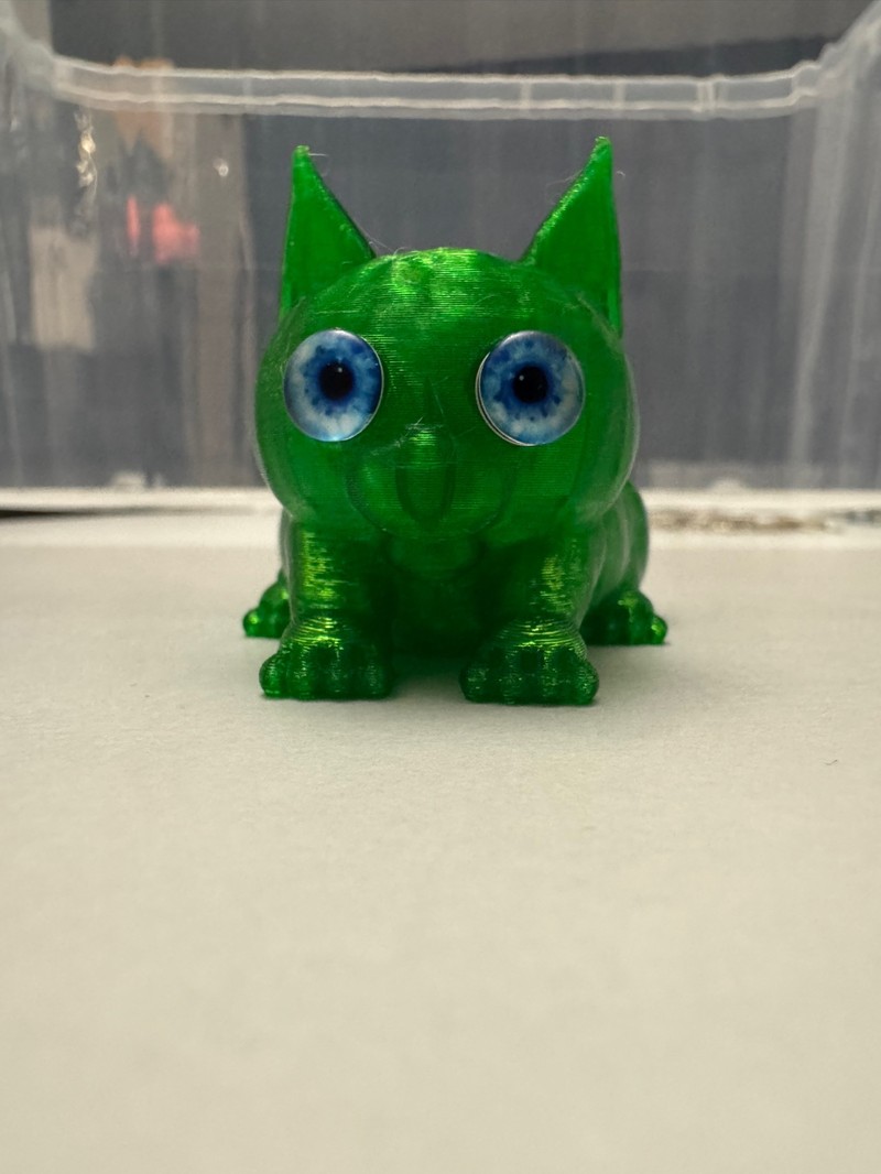 Cute Little Kitten (A10) | SKOF 3D
